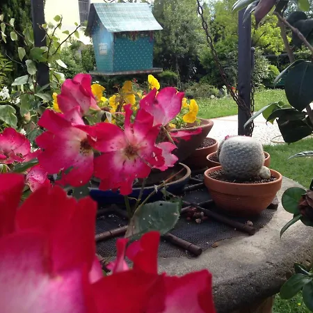 Il Sentiero Del Cuore 3*